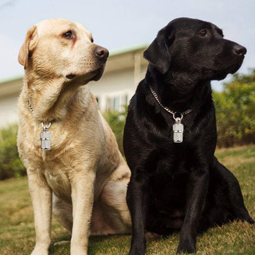 10Pcs Brass Pet Anti-lost Collar Pendant Dog Cat Identity Address Tag Collar Ornament 10Pcs Brass Pet Anti-lost Collar Pendant Dog Cat Identity Address Tag Collar Ornament
